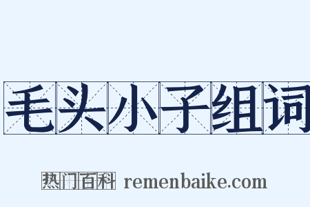 毛头小子组词是什么意思的图片